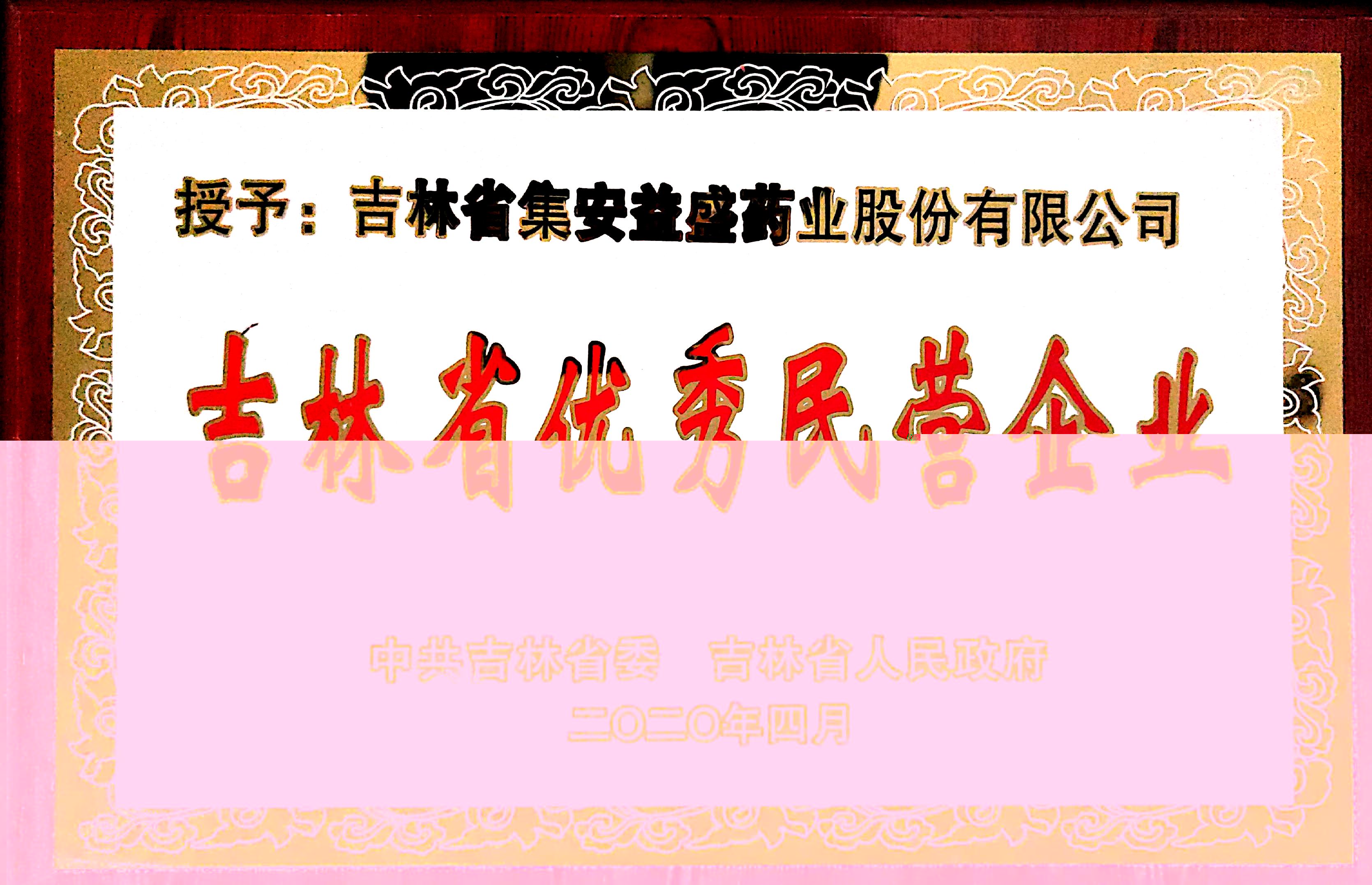 吉林省优秀民营企业.jpg
