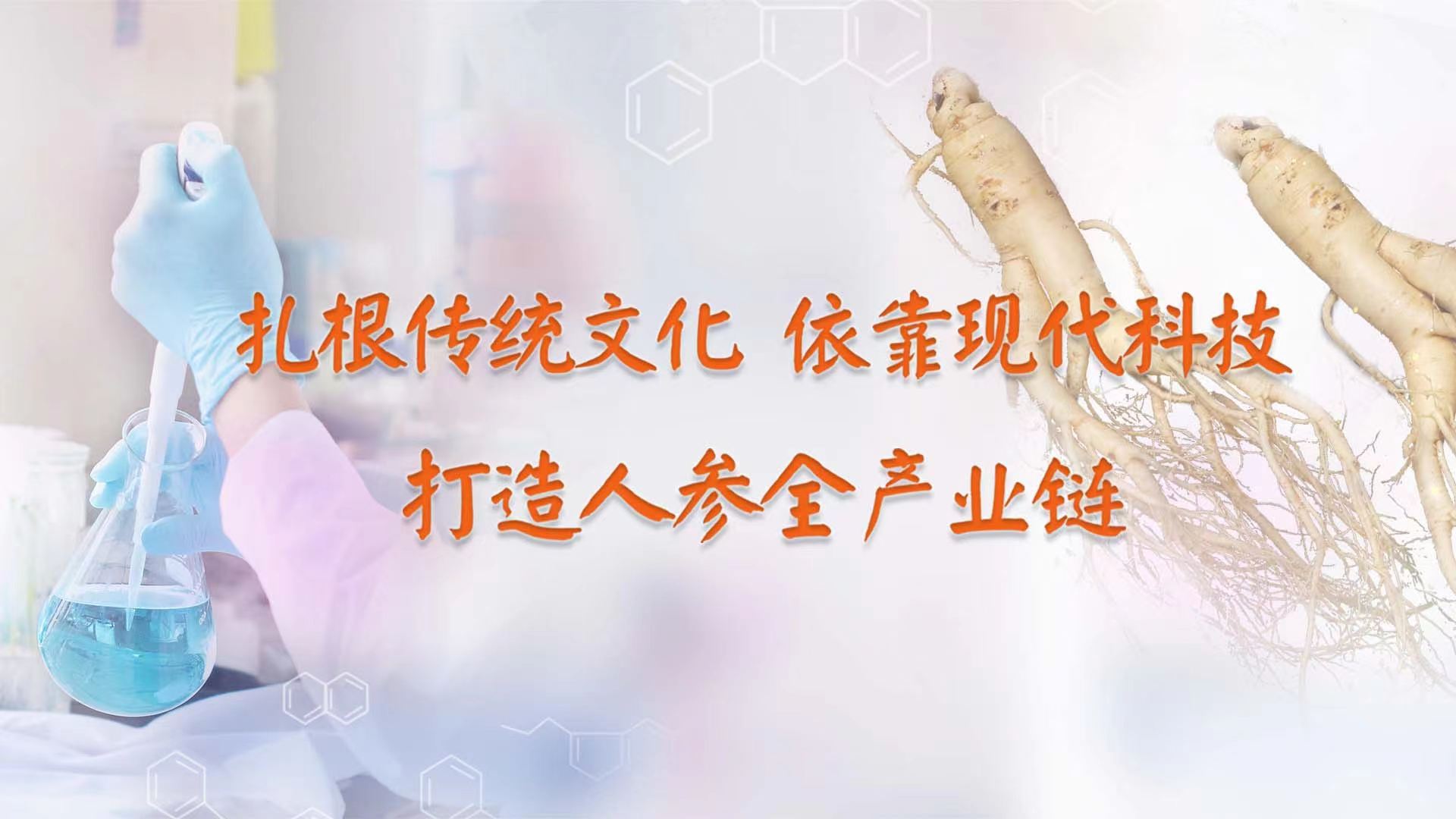 轮播图2.jpg